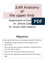 Vascular Anatomy of the Upper Limb