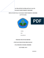 Laporan Praktikum Perakitan Galur Tanaman Menyerbuk Sendiri