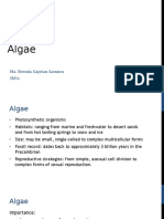 Algae - Gajelan