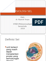 Fisiologi Sel