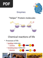 Le Ch. 6.2 Enzymes