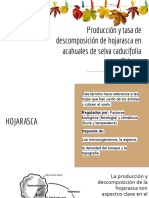 Producción y Tasa de Descomposición de Hojarasca en Acahuales de Selva Caducifolia en Chiapas