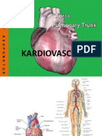 Anatomi Jantung Dan Pembuluh Darah