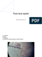 Post Test Epitel
