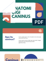 Anatomi Gigi Caninus