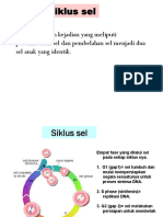 Mengenal Siklus Sel, Proses Kematian Sel, Diagnosa Dan Tumor Staging (Topik 3) PDF