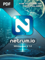 Netrum Whitepaper v1.01.04 PDF