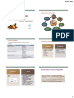 Clasificación de Los Alimentos