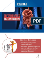 Sistema Digestivo Patologías 11