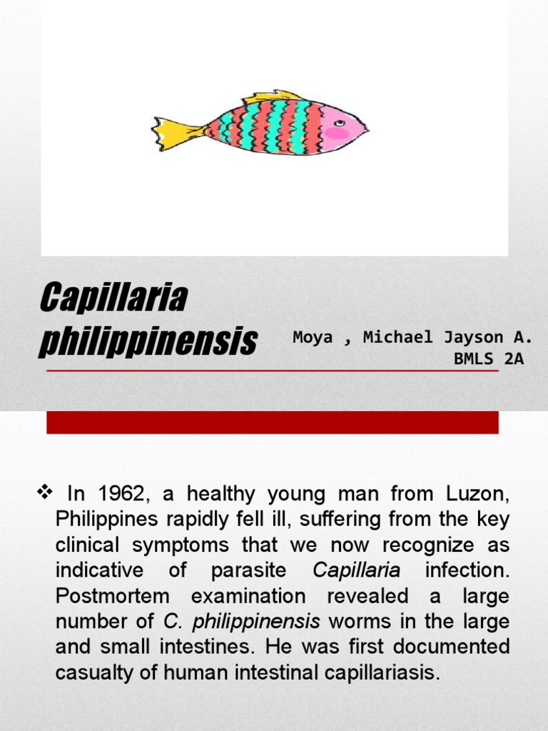 Capillaria philippinensis Overview and Impact | PDF | Immunology ...