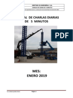 CHARLAS ENERO 2019.docx