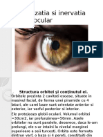 Vascularizatia si inervatia globului ocular