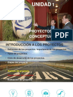 proyectos inversion 