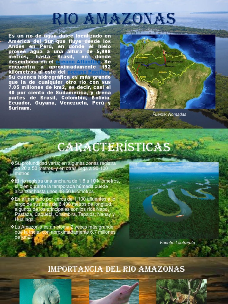 Características e Importancia del Río Amazonas | PDF | Religión y ...