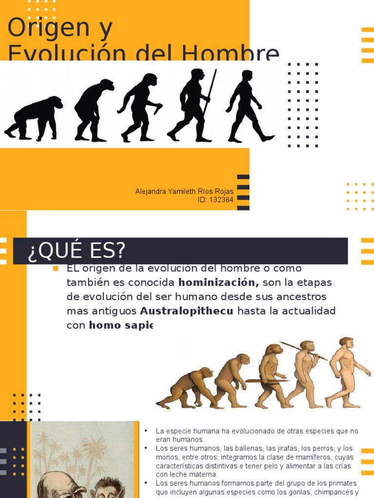 Evolución del Hombre: Orígenes y Etapas | PDF | Homo | Evolución humana