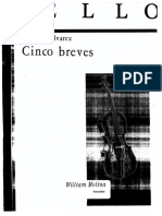 (1) CINCO BREVES.pdf