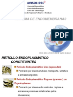 Aula 5 Sistema de Endomembranas