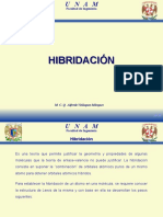 10 Hibridacion