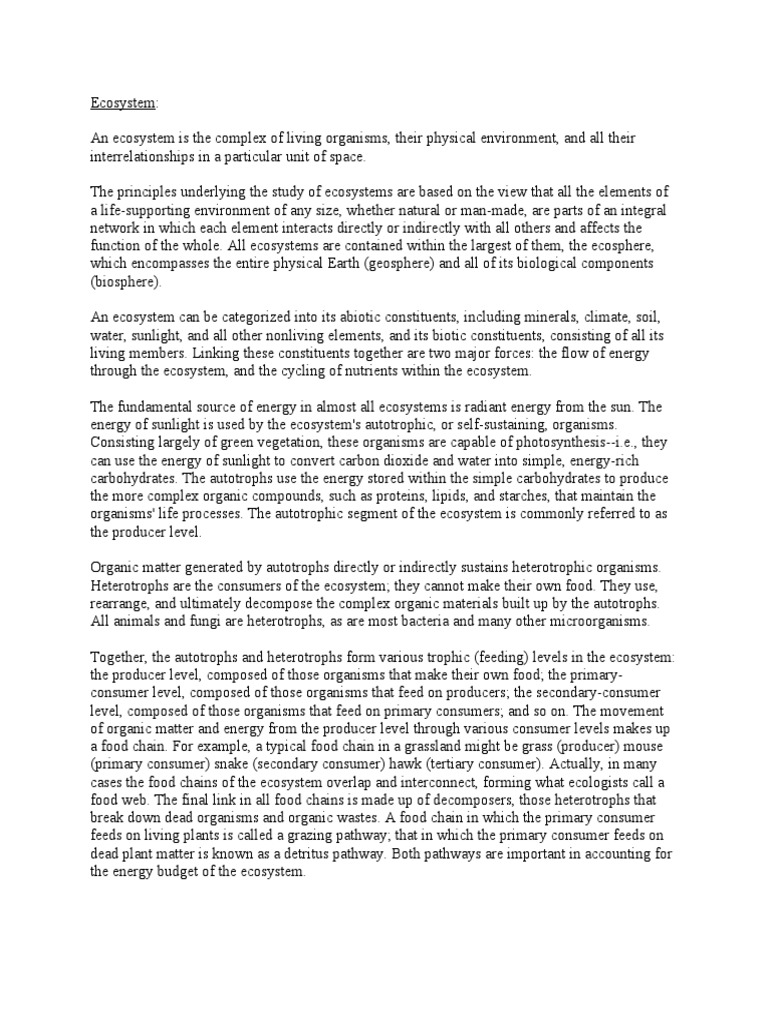 Ecosystem Essay PDF Ecosystem Food 