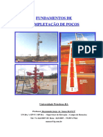 122650207-CURSO-DE-COMPLETACAO-DE-POCOS.pdf
