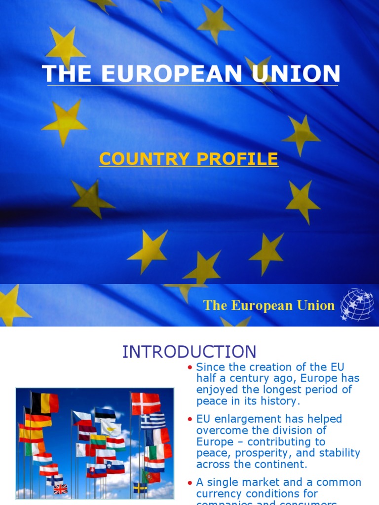 Overview of the European Union | PDF | Euro | European Union