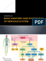 1-Basic Anatomy and Physiology of Nervous System