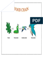 Foodchain