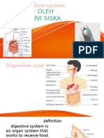 9. PENGKAJIAN PENCERNAAN- VIVI SISKA.pptx