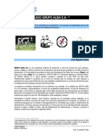 CASO GRUPO ALBA SA Texto Del Caso PDF