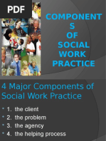 Components of SW Practice