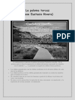 La Paloma Torcaz PDF