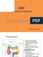 intestino grueso presentacion.pptx