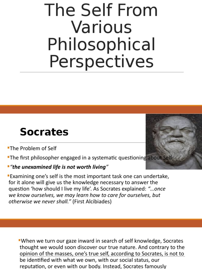 the self from various perspectives essay