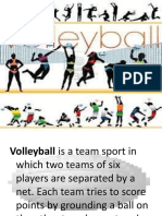 Volleyball: The Basics of the Popular Team Sport