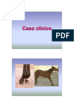 Casos Clinicos