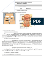 testes cn.pdf