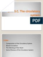 Circulatory System PDF
