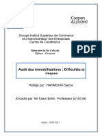 Audit Des Immobilisations Difficultés Et Risques PDF