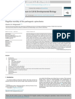 Pathogenic Spirochete Review Pub