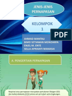 Kelompok 1 Jenis Jenis Pernapasan