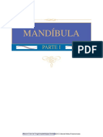MANDIBULA_PARTE_I.pdf