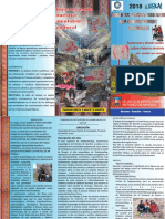 Triptico Lima Fencyt PDF