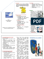 Leaflet SAP Implant