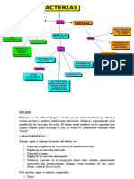 Enfermedades infecciosas: síntomas y características