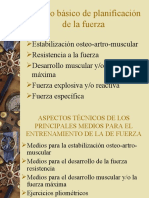 Planificacion de La Fuerza