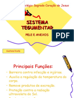 Sistema Tegumentar