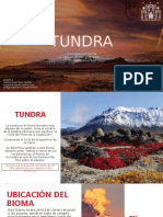 TUNDRA