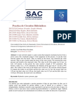 Practica 1 de Hidraulica - Circuitos Hidraulicos PDF