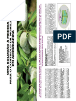 Amendoeira Indar 5EW.pdf