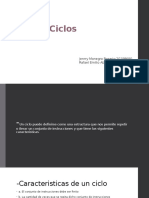 Ciclos